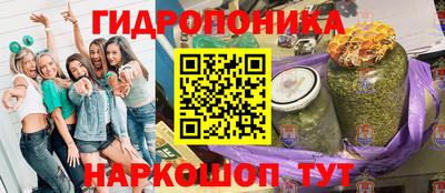 эйфоретик Можга